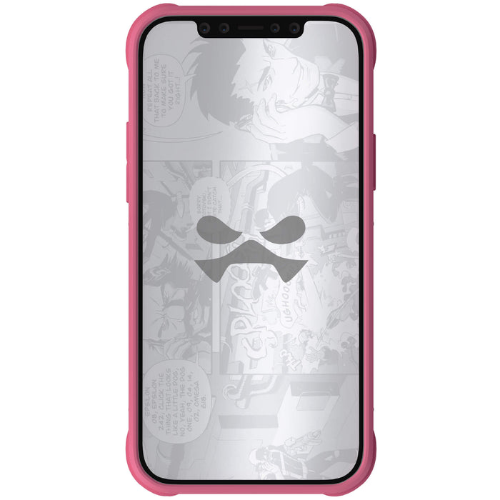 12 mini case